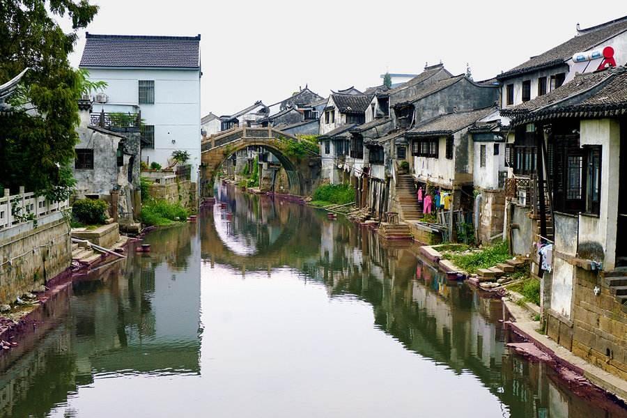 逃出小象森林